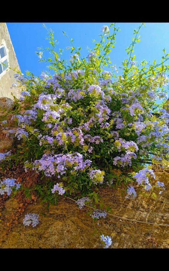 City Walls Sea View Corfu  Luaran gambar